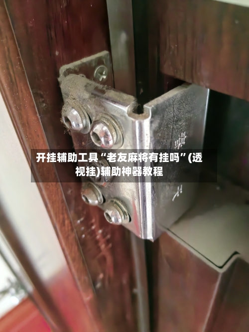 开挂辅助工具“老友麻将有挂吗”(透视挂)辅助神器教程-第2张图片