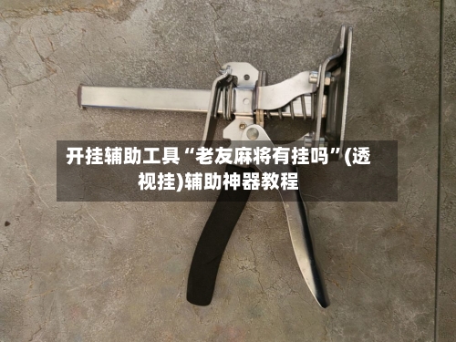 开挂辅助工具“老友麻将有挂吗	”(透视挂)辅助神器教程-第3张图片
