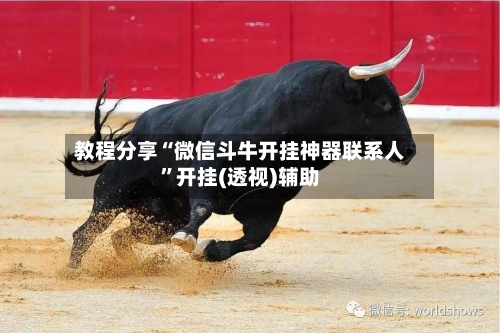 教程分享“微信斗牛开挂神器联系人”开挂(透视)辅助-第3张图片