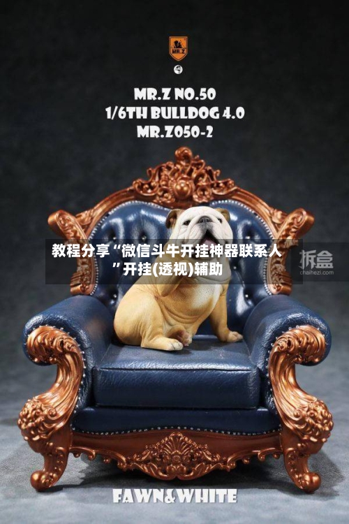 教程分享“微信斗牛开挂神器联系人”开挂(透视)辅助-第1张图片