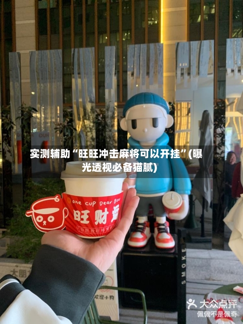 实测辅助“旺旺冲击麻将可以开挂”(曝光透视必备猫腻)-第2张图片