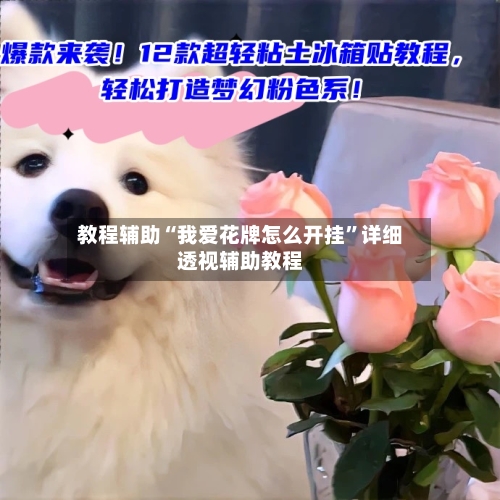 教程辅助“我爱花牌怎么开挂”详细透视辅助教程-第1张图片