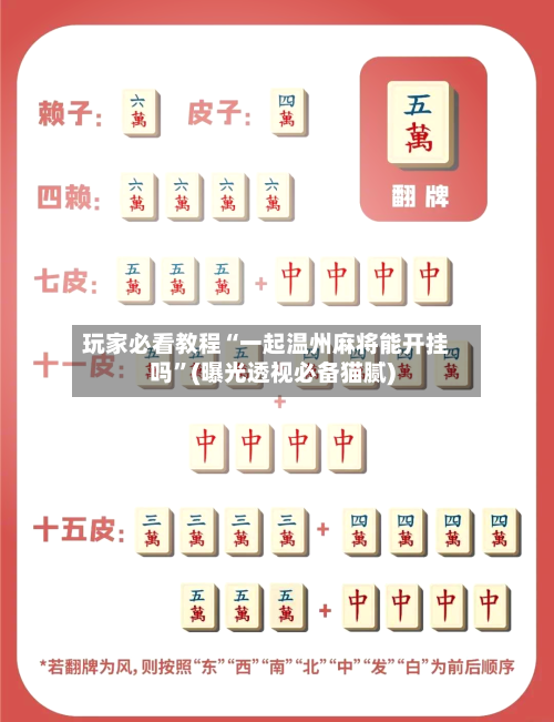 玩家必看教程“一起温州麻将能开挂吗”(曝光透视必备猫腻)-第1张图片