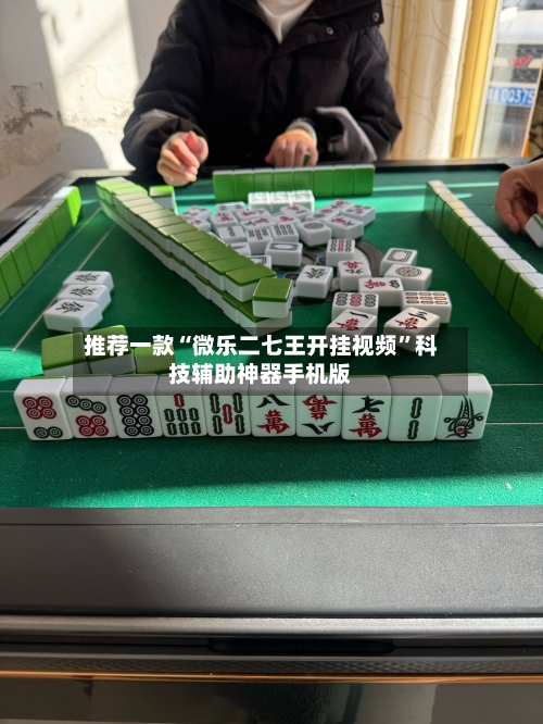 推荐一款“微乐二七王开挂视频”科技辅助神器手机版-第3张图片