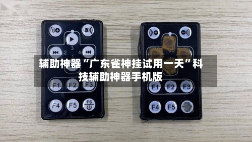 辅助神器“广东雀神挂试用一天”科技辅助神器手机版-第2张图片