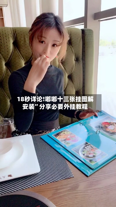 18秒详论!嘟嘟十三张挂图解安装”分享必要外挂教程-第1张图片