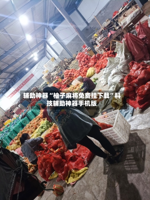 辅助神器“柚子麻将免费挂下载”科技辅助神器手机版-第2张图片