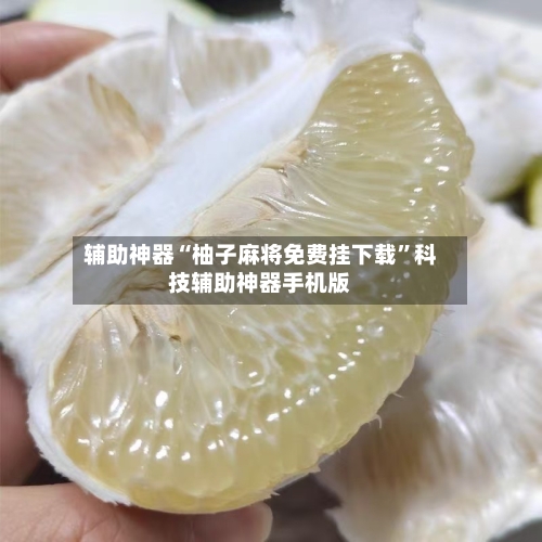 辅助神器“柚子麻将免费挂下载”科技辅助神器手机版-第3张图片