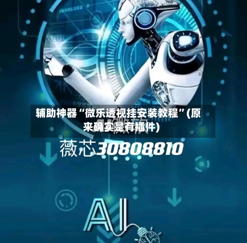 辅助神器“微乐透视挂安装教程	”(原来确实是有插件)-第3张图片