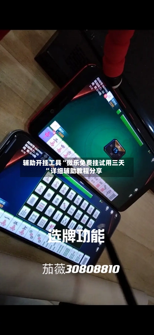辅助开挂工具“微乐免费挂试用三天”详细辅助教程分享-第1张图片