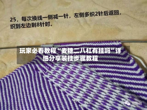 玩家必看教程“麦穗二八杠有挂吗	”详细分享装挂步骤教程-第1张图片