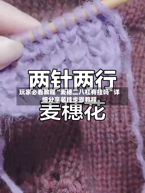 玩家必看教程“麦穗二八杠有挂吗”详细分享装挂步骤教程-第3张图片