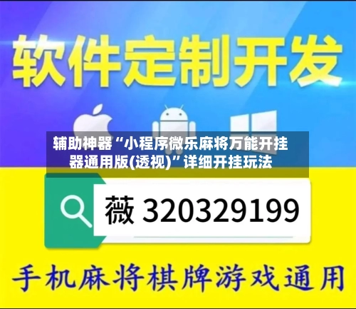 辅助神器“小程序微乐麻将万能开挂器通用版(透视)	”详细开挂玩法-第2张图片