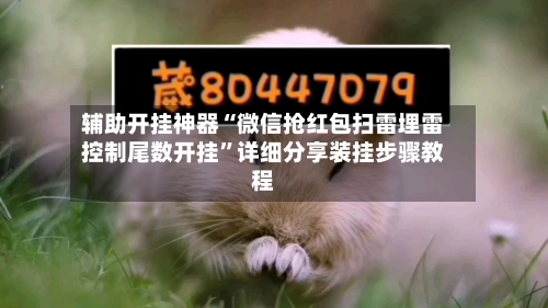 辅助开挂神器“微信抢红包扫雷埋雷控制尾数开挂	”详细分享装挂步骤教程-第1张图片