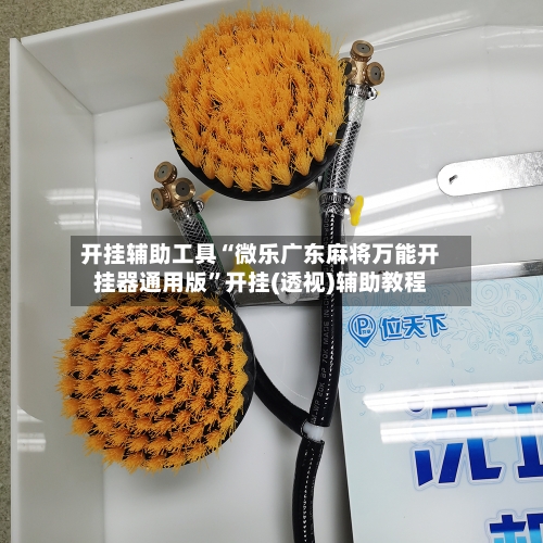 开挂辅助工具“微乐广东麻将万能开挂器通用版	”开挂(透视)辅助教程-第2张图片