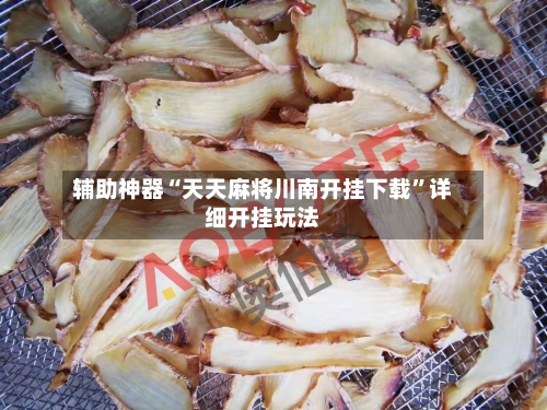 辅助神器“天天麻将川南开挂下载”详细开挂玩法-第2张图片