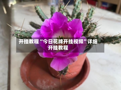 开挂教程“今日花牌开挂视频”详细开挂教程-第3张图片