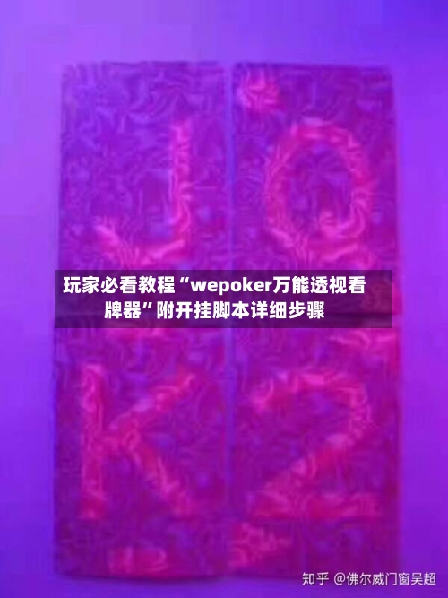 玩家必看教程“wepoker万能透视看牌器	”附开挂脚本详细步骤-第2张图片