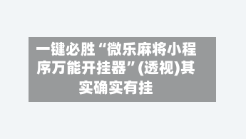 一键必胜“微乐麻将小程序万能开挂器”(透视)其实确实有挂-第2张图片