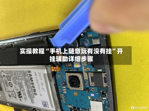 实操教程“手机上随意玩有没有挂”开挂辅助详细步骤-第1张图片