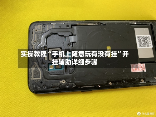 实操教程“手机上随意玩有没有挂”开挂辅助详细步骤-第2张图片