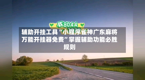 辅助开挂工具“小程序雀神广东麻将万能开挂器免费”掌握辅助功能必胜规则-第2张图片