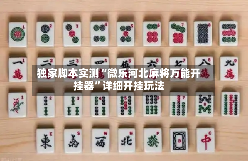 独家脚本实测“微乐河北麻将万能开挂器”详细开挂玩法-第1张图片