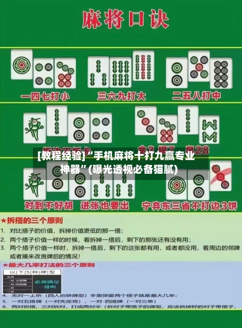 [教程经验]“手机麻将十打九赢专业神器”(曝光透视必备猫腻)-第3张图片