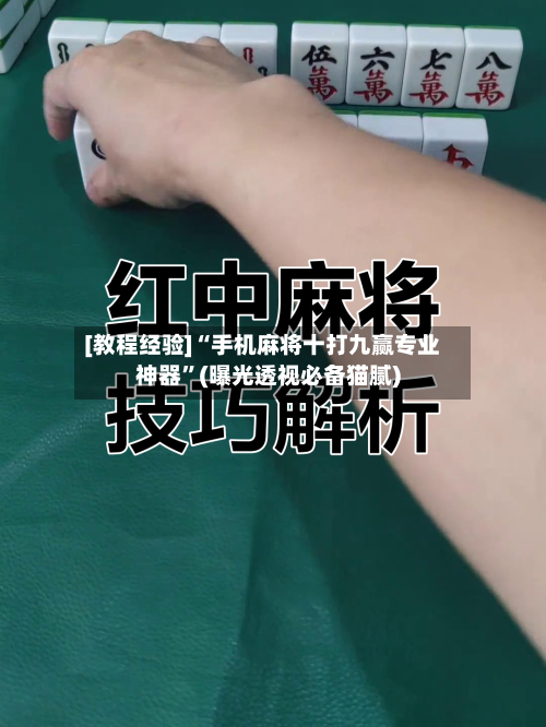 [教程经验]“手机麻将十打九赢专业神器	”(曝光透视必备猫腻)-第2张图片