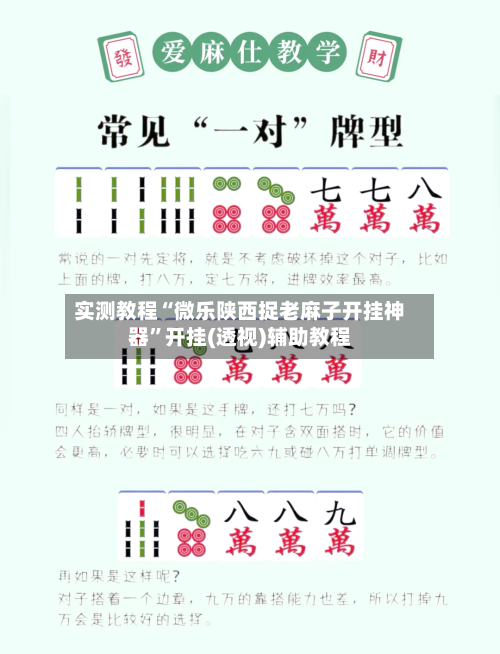 实测教程“微乐陕西捉老麻子开挂神器	”开挂(透视)辅助教程-第1张图片