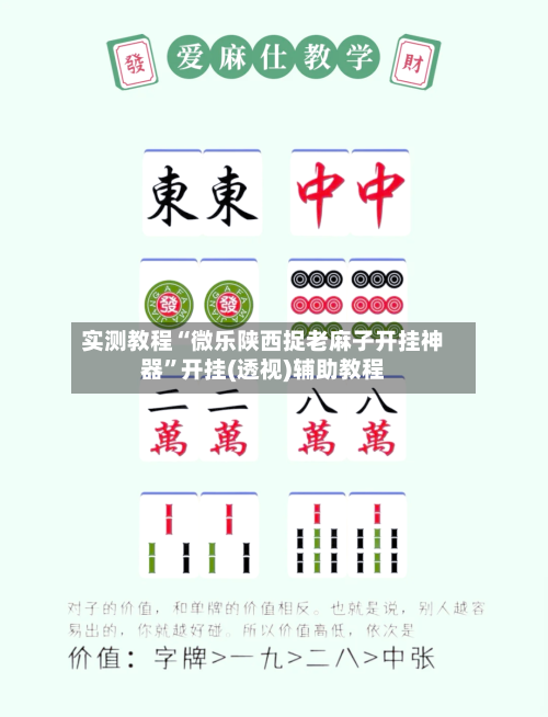 实测教程“微乐陕西捉老麻子开挂神器”开挂(透视)辅助教程-第2张图片