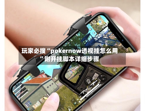 玩家必搜“pokernow透视挂怎么用	”附开挂脚本详细步骤-第1张图片