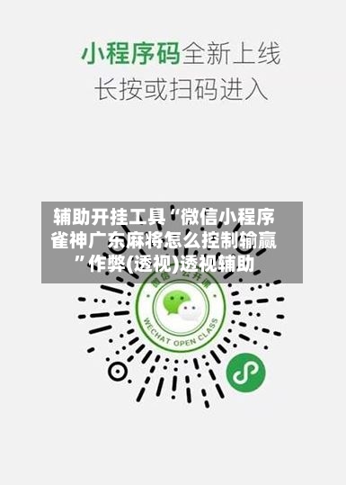 辅助开挂工具“微信小程序雀神广东麻将怎么控制输赢”作弊(透视)透视辅助-第2张图片