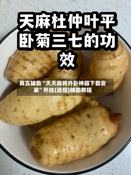 真实辅助“天天麻将外卦神器下载安装”开挂(透视)辅助教程-第1张图片