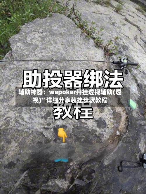 辅助神器：wepoker开挂透视辅助(透视)	”详细分享装挂步骤教程-第1张图片