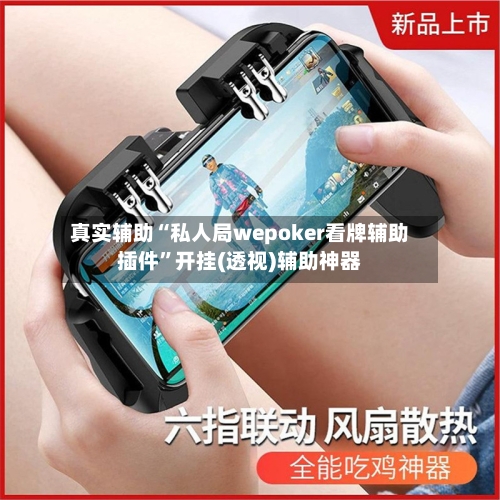 真实辅助“私人局wepoker看牌辅助插件”开挂(透视)辅助神器-第1张图片