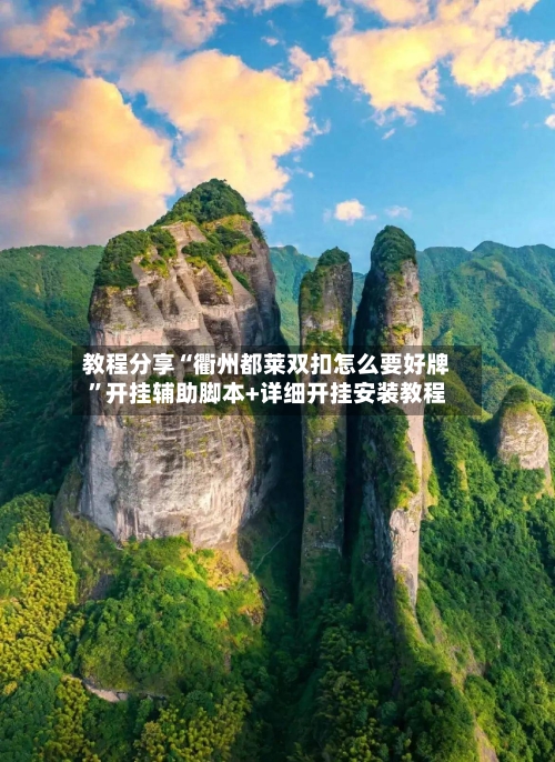 教程分享“衢州都莱双扣怎么要好牌”开挂辅助脚本+详细开挂安装教程-第3张图片