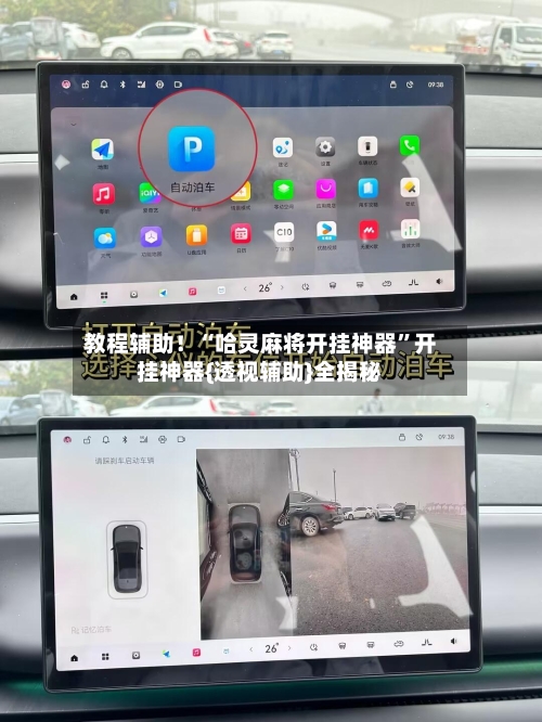 教程辅助！“哈灵麻将开挂神器”开挂神器{透视辅助}全揭秘-第2张图片