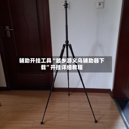 辅助开挂工具“越乡游义乌辅助器下载”开挂详细教程-第2张图片