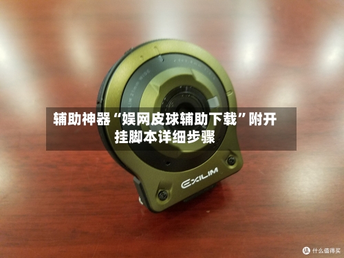 辅助神器“娱网皮球辅助下载”附开挂脚本详细步骤-第3张图片