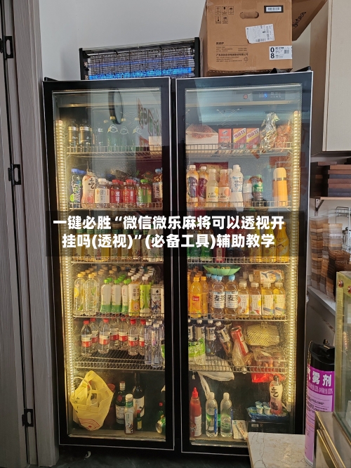 一键必胜“微信微乐麻将可以透视开挂吗(透视)”(必备工具)辅助教学-第3张图片