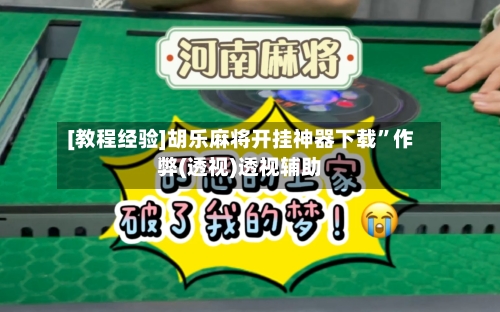 [教程经验]胡乐麻将开挂神器下载”作弊(透视)透视辅助-第1张图片