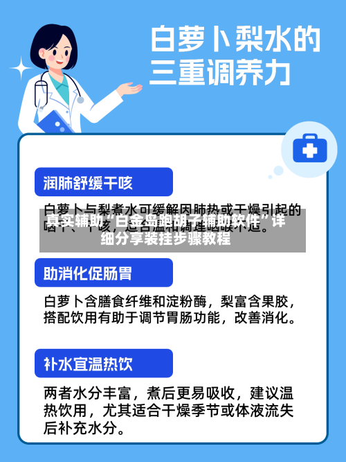 真实辅助“白金岛跑胡子辅助软件	”详细分享装挂步骤教程-第2张图片