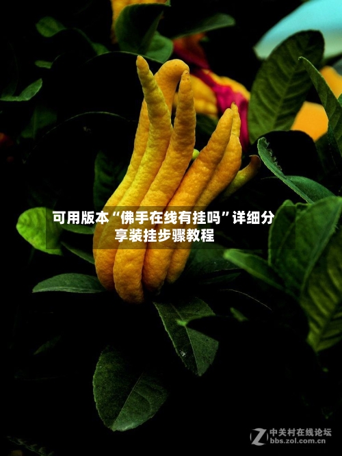 可用版本“佛手在线有挂吗”详细分享装挂步骤教程-第1张图片