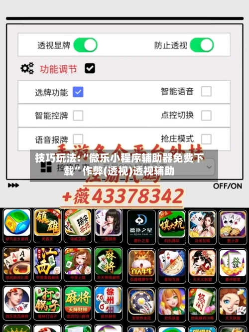 技巧玩法:“微乐小程序辅助器免费下载	”作弊(透视)透视辅助-第3张图片