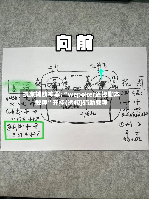 玩家辅助神器:“wepoker透视脚本教程	”开挂(透视)辅助教程-第3张图片