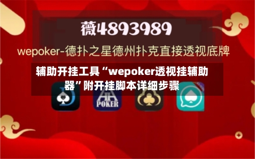 辅助开挂工具“wepoker透视挂辅助器”附开挂脚本详细步骤-第3张图片