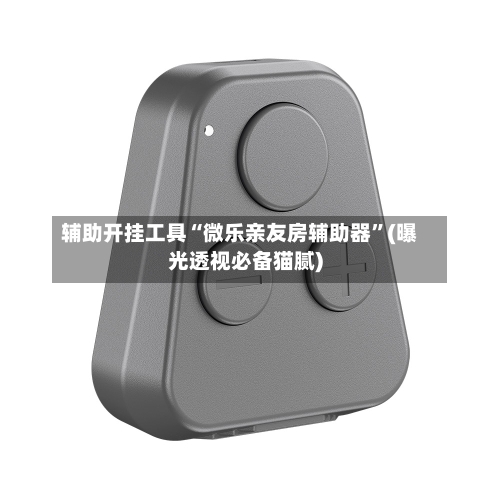 辅助开挂工具“微乐亲友房辅助器”(曝光透视必备猫腻)-第1张图片