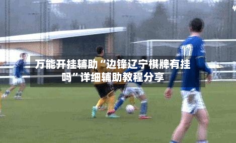 万能开挂辅助“边锋辽宁棋牌有挂吗”详细辅助教程分享-第2张图片