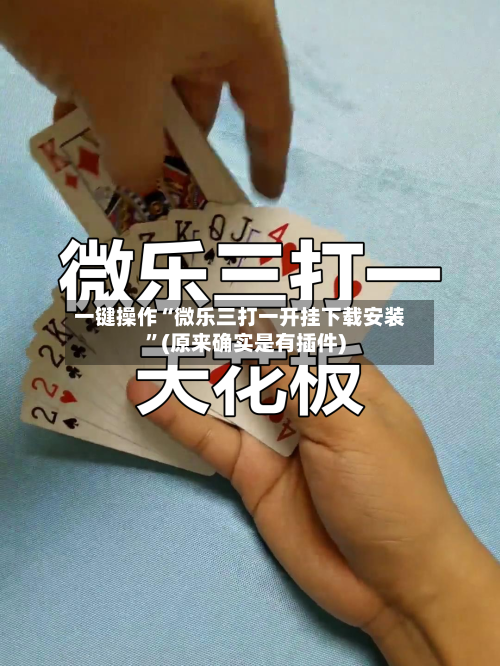 一键操作“微乐三打一开挂下载安装”(原来确实是有插件)-第1张图片